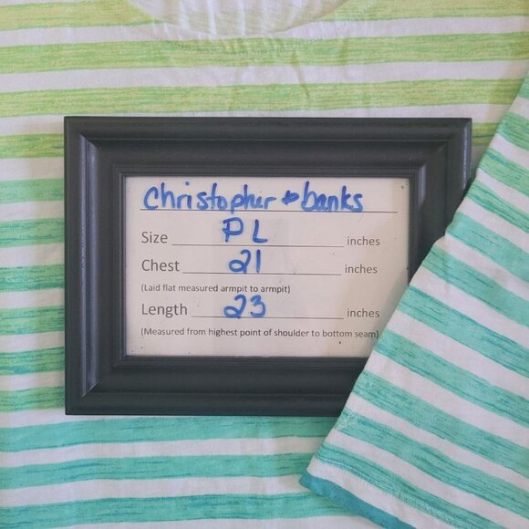 Christopher Banks Petite Tee Shirt Green Horizontal Stripe Womens Large PL Short - Picture 6 of 8